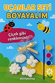 Taş boyama seti Uçanlar serisi